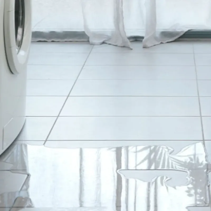 Appliance Leak Cleanup in Woodstock, GA