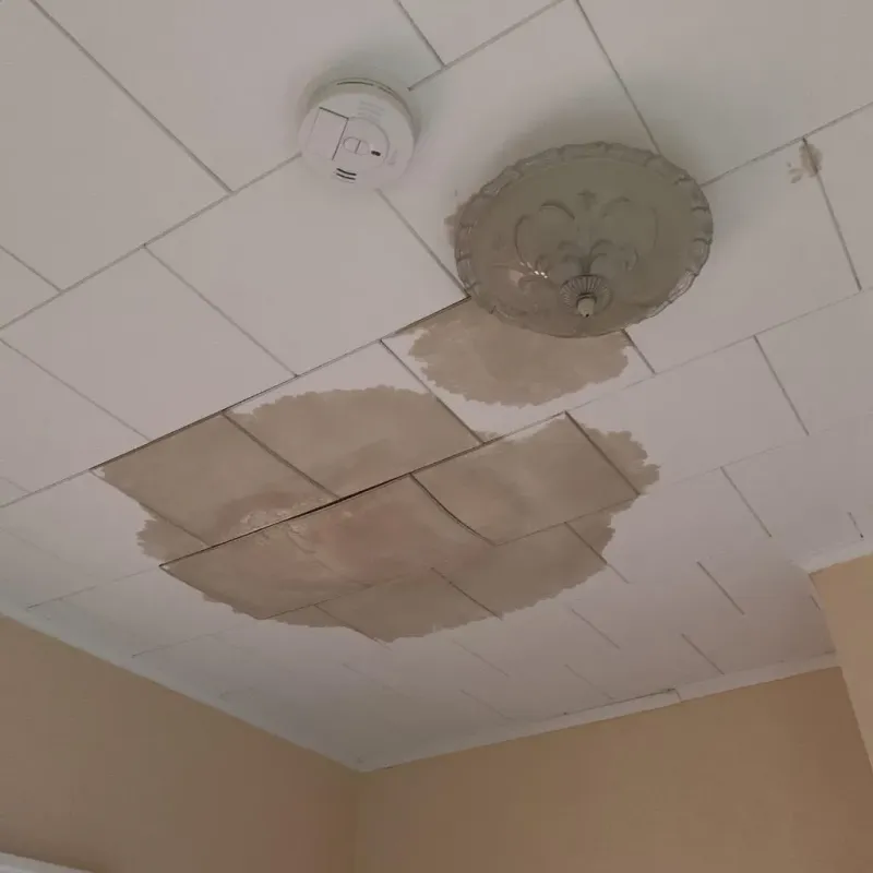 Ceiling Water Damage Repair in Woodstock, GA